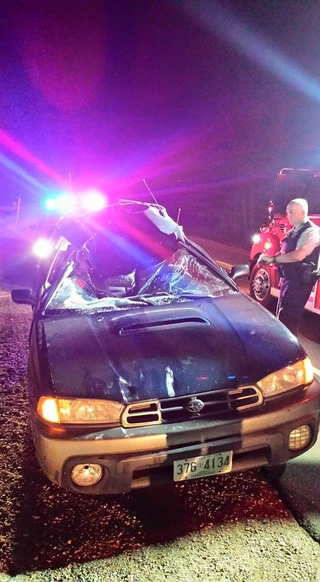 Illustration for article titled Moose Collision Turns Subaru Into Convertible